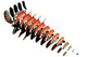 EUGY Red Panda 3D Puzzle #126 - Exploded Construction View