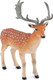 Papo Fallow Deer #50325 - Right Front View