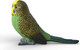 Schleich Budgie #14939 - Left View