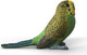 Schleich Budgie #14939 - Right View