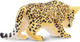 Toymany Jaguar Cub - Standing #00127 - Right  Rear