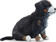 Toymany Bernese Mountain Puppy - Sitting #149 - Rear View