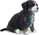 Toymany Bernese Mountain Puppy - Sitting #149 - Right Front View
