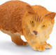 Toymany Orange Norwegian Forest Cat #00171 - Front View