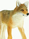 Safari Ltd. Coyote #113089 - Right Front View