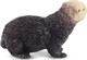 Toymany Sea Otter #00240 - Right View