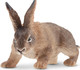 Toymany Belgian Hare #00371 - Front View