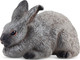 Toymany Champagne D'Argent Rabbit #00372 - Main Picture