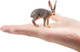 Toymany Antelope Jackrabbit #00373 - On Hand