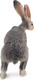 Toymany Antelope Jackrabbit #00373 - Rear View