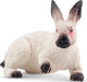 Toymany Californian Rabbit #00374 - Front View