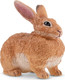 Toymany Flemish Giant Rabbit #00375 - Right Front View