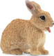 Toymany Netherland Dwarf Rabbit #00376 - Right View