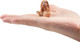 Toymany French Lop #00382 - On Hand