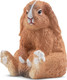 Toymany French Lop #00382 - Front View
