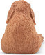 Toymany French Lop #00382 - Rear View