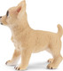 Toymany Fawn Chihuahua Puppy - Standing #00155 - Left View