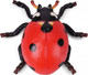 Toymany Seven-Spotted Ladybug #00503 - Top View