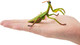Toymany Chinese Mantis #00502 - On Hand