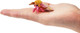 Toymany Rosy Maple Moth #00499 - On Hand