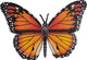 Toymany Monarch Butterfly #00498 - Top View