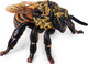 Toymany Honeybee #00504 - Right Front View