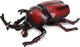 Toymany Japanese Rhinoceros Beetle #00497 - Main Picture