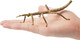 Toymany Stick Insect #00505 - On Hand