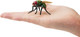 Toymany Green Bottle Fly #00506 - On Hand