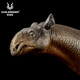 Haolonggood Paraceratherium #001- Head Close-up