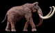 Haolonggood Mammuthus Primigenius (Yellowish Brown) #007-B - Right View on Black