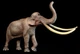 Haolonggood Palaeoloxodon - B #002-B - Right Front View on Black