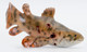 Haolonggood Spinosaurus mirabilis - Zhang Hen #190-B - Fish View