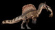 Haolonggood Spinosaurus mirabilis - Heterochromatic Version #190-C - Right View with Fish on Black