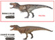 Haolonggood Tyrannosaurus Rex - Li Yuan Ba #191-A - Color Comparison