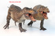 Haolonggood Tyrannosaurus Rex - Li Yuan Ba #191-A - Color Comparison2