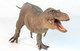 Tyrannosaurus Rex - Yu Wen Cheng Du 191B - Brown Version -Front Angle View