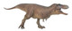 Tyrannosaurus Rex - Yu Wen Cheng Du 191B - Brown Version - Right Side