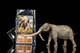 EoFauna Anancus Arvernensis #013 - Left View with Bonus Collectible Card