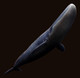 PNSO - Alex the Blue Whale - Art Gallery Series - Side Angle View