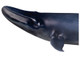 PNSO - Alex the Blue Whale - Art Gallery Series - Close Up Head View