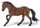 Mojo Horse - Hanoverian Bay (381157) - Left Side View