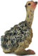 Ostrich Chick - Sitting (CollectA)