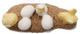 Chicks - Hatching (CollectA)