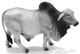 Brahman Bull (CollectA)