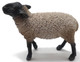 CollectA Suffolk Sheep -Left Side View