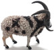 Sheep - Jacob (CollectA)