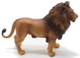 Lion - African (CollectA)