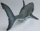 CollectA Megalodon with Moveable Jaw - Rear View