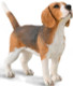 Dog - Beagle (CollectA)